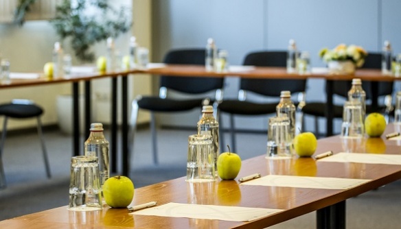Borovets Meeting room